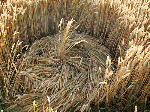 Garsington, Oxfordshire crop circle, aerial photo 29