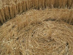 Garsington (3), Oxfordshire crop circle, aerial photo 6