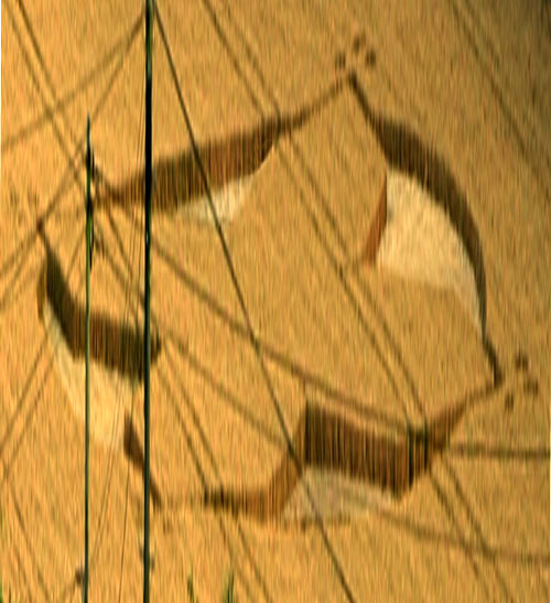 Kings Worthy, Hampshire crop circle, aerial photo 5