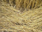 Kings Worthy, Hampshire crop circle, aerial photo 11