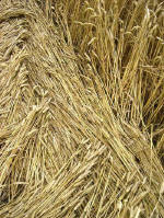 Kings Worthy, Hampshire crop circle, aerial photo 12