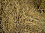 Kings Worthy, Hampshire crop circle, aerial photo 8
