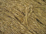 Kings Worthy, Hampshire crop circle, aerial photo 6