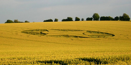 Crop Circle atLane End Down, Hampshire crop circle, aerial photo 17