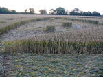 Crop Circle atLane End Down, Hampshire crop circle, aerial photo 6