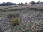 Crop Circle atLane End Down, Hampshire crop circle, aerial photo 11