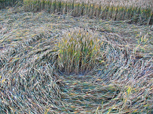 Crop Circle atLane End Down, Hampshire crop circle, aerial photo 12