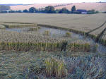 Crop Circle atLane End Down, Hampshire crop circle, aerial photo 9