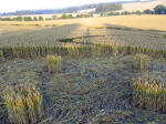 Crop Circle atLane End Down, Hampshire crop circle, aerial photo 10