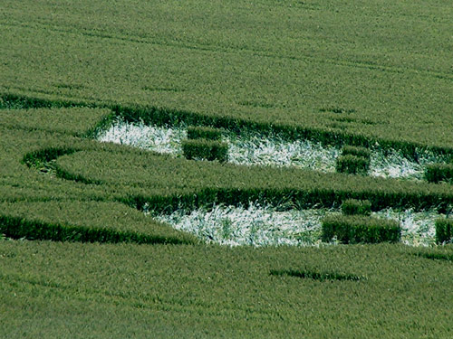 Crop Circle atLane End Down, Hampshire crop circle, aerial photo 15