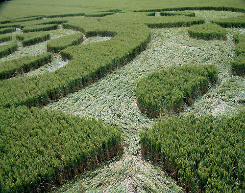 Lurkley Hill, Wiltshire crop circle, aerial photo 20