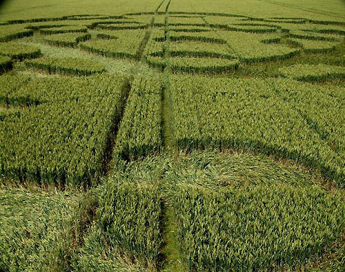 Lurkley Hill, Wiltshire crop circle, aerial photo 8