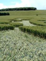 Lurkley Hill, Wiltshire crop circle, aerial photo 10