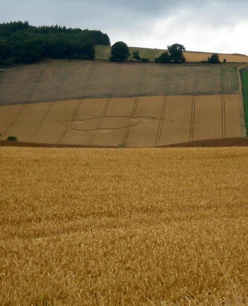 Luthrie, Scotland crop circle, aerial photo 4