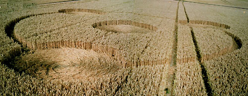 Meopham Station, Kent crop circle, aerial photo 2