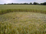 Meopham Station, Kent crop circle, aerial photo 12