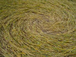 Meopham Station, Kent crop circle, aerial photo 13