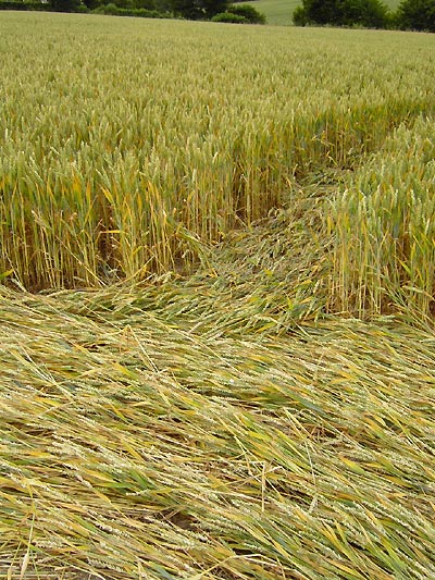 Meopham Station, Kent crop circle, aerial photo 7