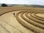 Avebury Stone Avenue, Wiltshire crop circle, aerial photo 17