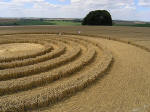 Avebury Stone Avenue, Wiltshire crop circle, aerial photo 18