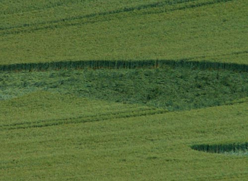 Crop Circle a Rockley Down, Wiltshire crop circle, aerial photo 7