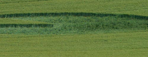Crop Circle a Rockley Down, Wiltshire crop circle, aerial photo 6