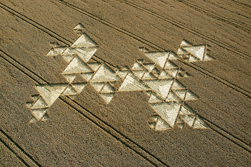 Savernake Forest, Wiltshire crop circle, aerial photo 2