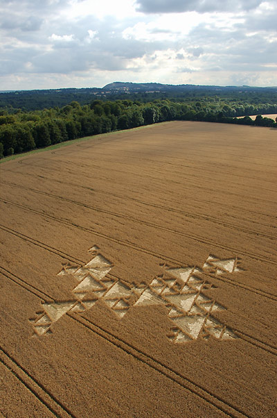Savernake Forest, Wiltshire crop circle, aerial photo 3