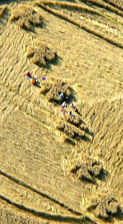 Savernake Forest, Wiltshire crop circle, aerial photo 8