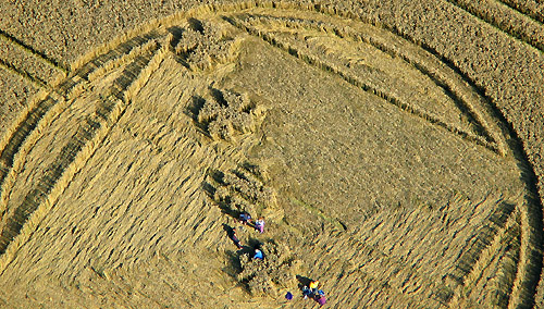 Savernake Forest, Wiltshire crop circle, aerial photo 6