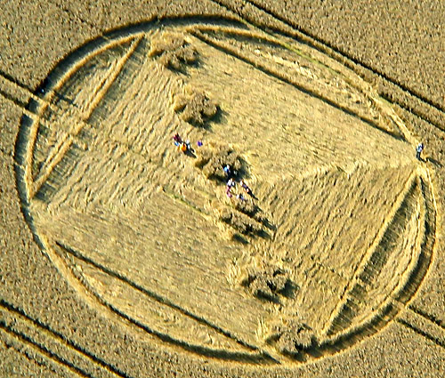 Savernake Forest, Wiltshire crop circle, aerial photo 7
