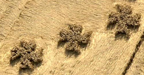 Savernake Forest, Wiltshire crop circle, aerial photo 4