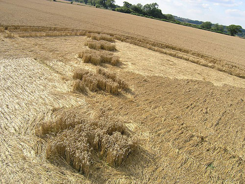 Savernake Forest, Wiltshire crop circle, aerial photo 9