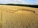Savernake Forest, Wiltshire crop circle, aerial photo 10