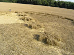 Savernake Forest, Wiltshire crop circle, aerial photo 11