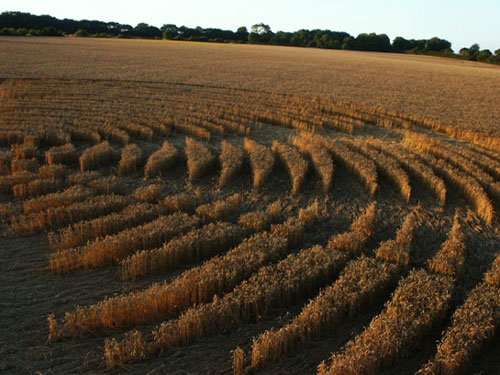 Shalbourne, Wiltshire crop circle, aerial photo 8