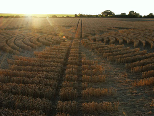 Shalbourne, Wiltshire crop circle, aerial photo 9