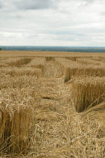 Wayland's Smithy, Oxfordshire crop circle, aerial photo 26