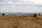 Wayland's Smithy, Oxfordshire crop circle, aerial photo 17