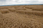 Wayland's Smithy, Oxfordshire crop circle, aerial photo 21