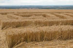 Wayland's Smithy, Oxfordshire crop circle, aerial photo 22
