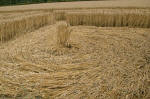 Wayland's Smithy, Oxfordshire crop circle, aerial photo 23