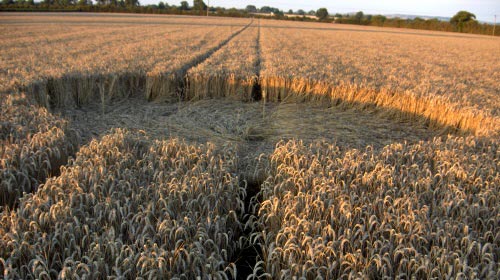 Weston Turville, Buckinghamshire crop circle, aerial photo 3