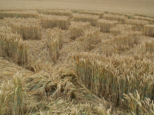 Aldbourne (1), Wiltshire crop circle, aerial photo 28