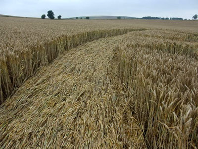 Aldbourne (1), Wiltshire crop circle, aerial photo 8