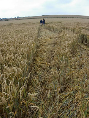 Aldbourne (1), Wiltshire crop circle, aerial photo 5
