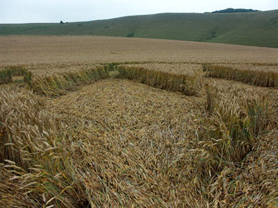 Aldbourne (1), Wiltshire crop circle, aerial photo 7