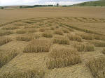 Aldbourne (1), Wiltshire crop circle, aerial photo 25