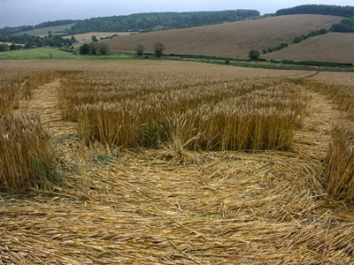 Aldbourne (2), Wiltshire crop circle, aerial photo 15