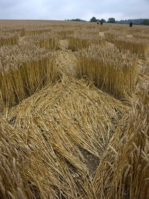 Aldbourne (2), Wiltshire crop circle, aerial photo 16